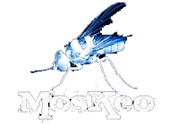 Moskeo – Grupo de rock urbano Español de madrid